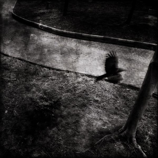 在线DDOS攻击平台